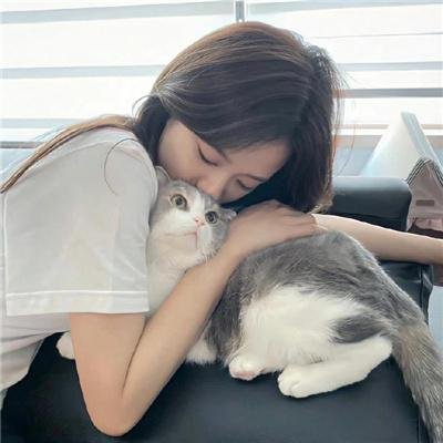 悬案 在线观看