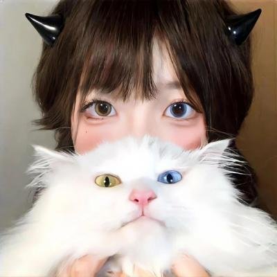 魔法圣女 在线观看